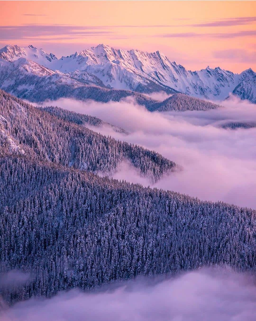 Wonderful Placesさんのインスタグラム写真 - (Wonderful PlacesInstagram)「Gorgeous sunset over Washington State. Picture by ✨@denemiles✨ follow her amazing feed!!! ✨@denemiles✨ 💜💜💜💜」6月12日 2時24分 - wonderful_places