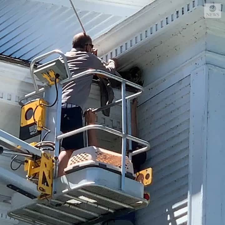 ABC Newsのインスタグラム