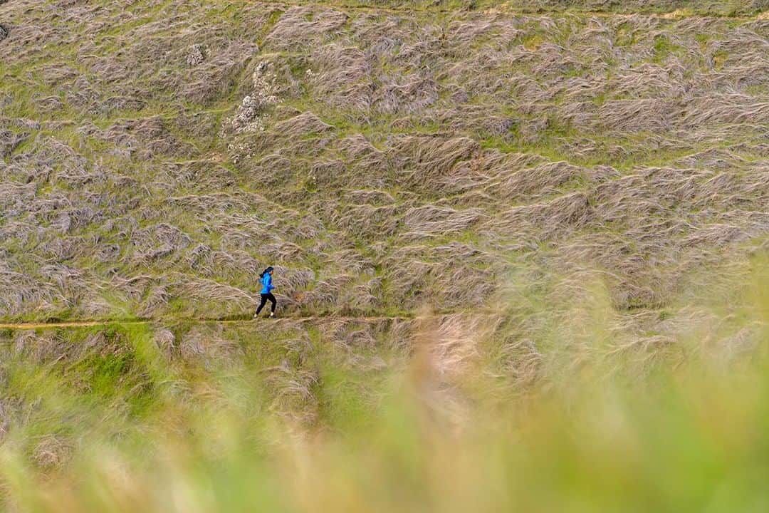 patagoniaさんのインスタグラム写真 - (patagoniaInstagram)「Linear miles on the curves of Mount Tam. ⠀ Photo: @noyekim⠀」6月12日 1時30分 - patagonia