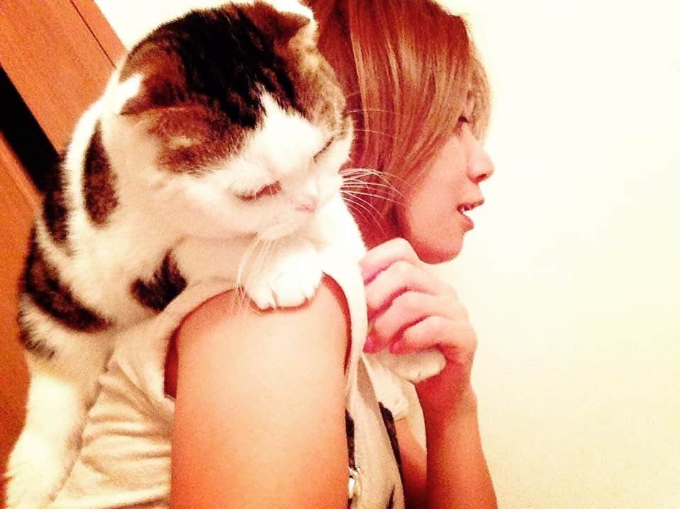 藤井惠さんのインスタグラム写真 - (藤井惠Instagram)「ももちゃんに会いたいな。  #愛猫 #モモロック #ももちゃん」6月12日 2時18分 - megumi_fujii
