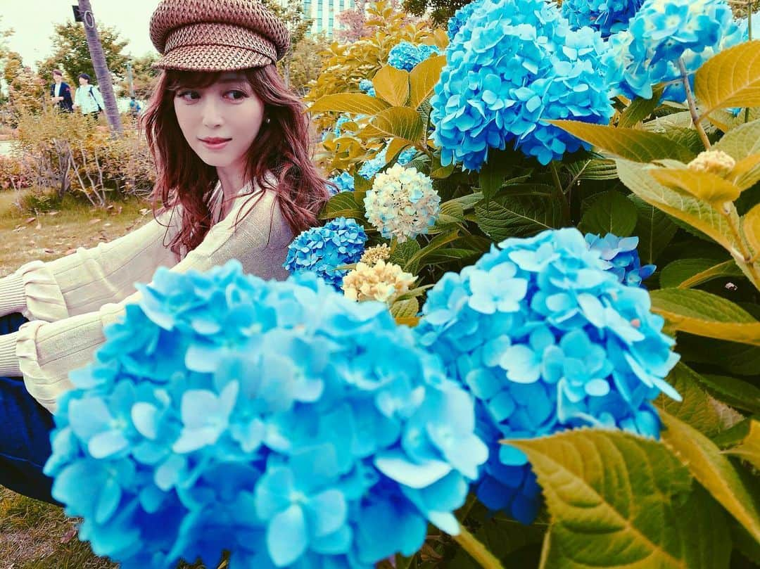 大矢真夕さんのインスタグラム写真 - (大矢真夕Instagram)「seasonal flowers 🌸🌼 🌸🌼 #japan #sunshine #odaiba #hydrangea #blue #green #milaowen #tokyo #rainyday #紫陽花 #お台場 #写真 #インスタ映え #beautiful #flowers #lackofcolor  #japanese #lifeisbeautiful #picture  #photooftheday #wonderful_places #snapshot #outdoors #amazing #art #light #lifestyle #view  #picoftheday」6月11日 17時36分 - mayuohya