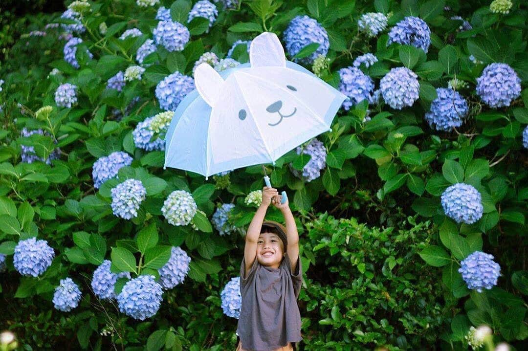 タビスルキッズのインスタグラム：「こんばんは😊 現在、「初夏」を楽しんでいるお写真・動画を募集中です✨ 本日の #タビスルキッズ はこちら💕 📷 @saku_sakusanさん 🚩愛知県・名古屋市内 🎙ご本人コメント 2019.6.8 新しい傘にニッコニコ ビニール傘も可愛かったから2本買ってしまった うさぎちゃんよりビニール傘の方が倍の値段したのがちょっと…腑に落ちない笑 * * Location:Aichi ﻿﻿﻿﻿﻿＊＊＊＊＊＊ こんなにかわいい傘だと雨の日も楽しみですね😍 素敵なお写真ありがとうございます💕」