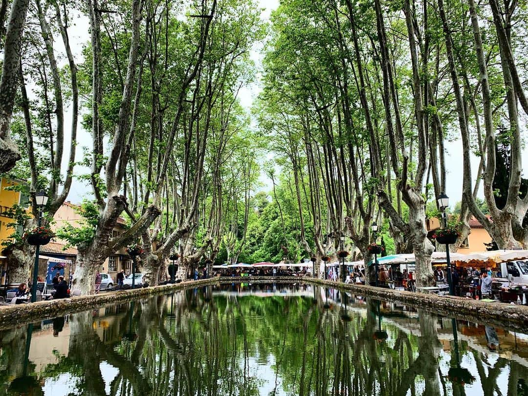 エミー・ロッサムさんのインスタグラム写真 - (エミー・ロッサムInstagram)「ce matin au marché! ❤️」6月11日 18時32分 - emmy