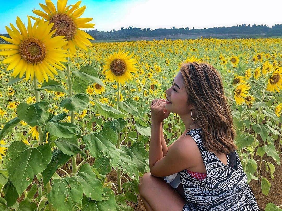 澤井玲未のインスタグラム：「今年もまた綺麗なひまわり畑みにいけた🌻 夏が来るねえ☀️ 3枚目は去年の写真📸 . #sunflower#sunflowers#miyakojima#miyakoisland#summercoming#yellow#japanesemodel#healthy#healthymodel#smile#宮古島#アフターダイブ#ダイバー#宮古島ダイビング #ひまわり畑#向日葵#夏#ぼくなつ#ぼくのなつやすみ#小麦肌モデル#小麦肌#小麦肌女子#健康美#ロブヘア#黄色#横顔」