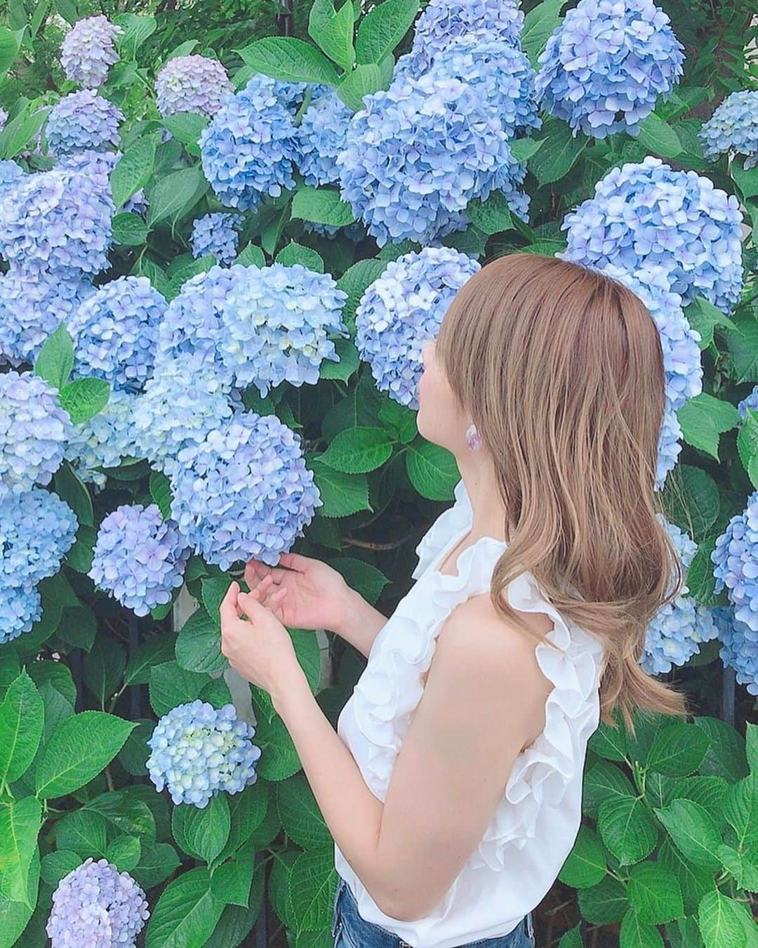 ハミ さんのインスタグラム写真 - (ハミ Instagram)「・ 紫陽花がとっても綺麗に咲いてました⑅︎◡̈︎* ・ 写真を撮ってたらご近所の方が、 『ここ数年で一番綺麗に咲いたんだよ』ってニコニコで教えてくれてほっこり♡ ・ 近所に咲いてるカサブランカ情報まで教えてもらいました😂 ・ ・ イヤリングは @famys123 の紫陽花ちゃん🌈 ・ ・ ・ ・ #紫陽花」6月11日 19時11分 - hami0519