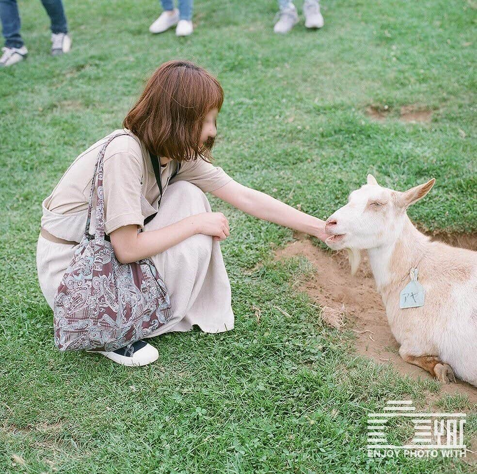 YAC神奈川写真サークルのインスタグラム