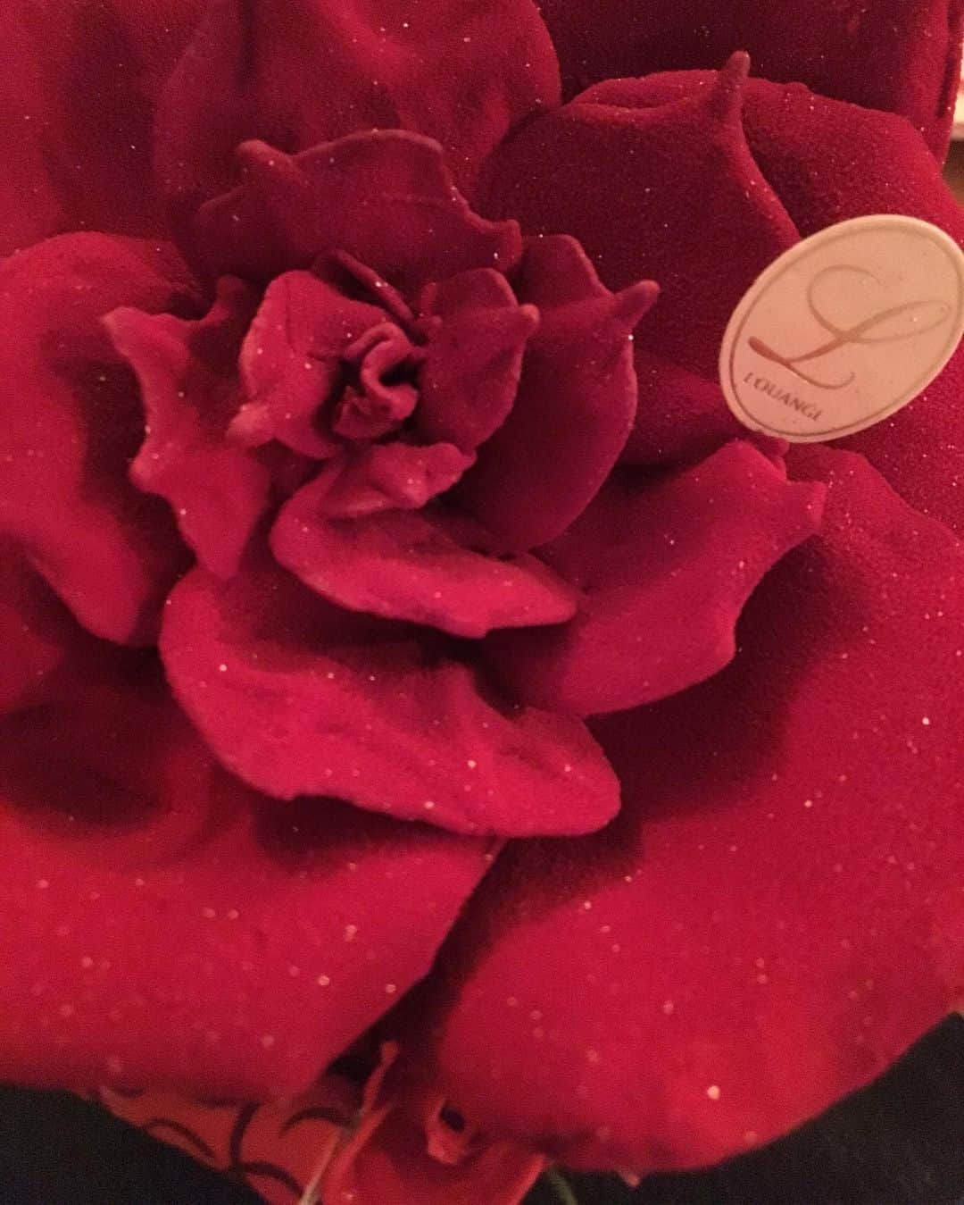 福山理子さんのインスタグラム写真 - (福山理子Instagram)「綺麗なケーキ🍰 #綺麗なケーキ #薔薇🌹」6月11日 19時46分 - rikofukuyama
