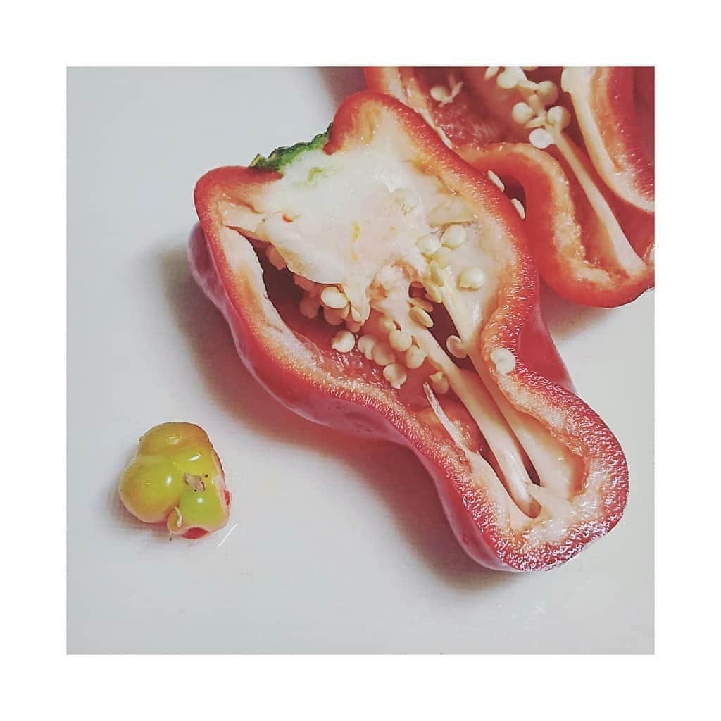 花村怜美さんのインスタグラム写真 - (花村怜美Instagram)「ピーマンを開けたら、中からピーマンが出てきました。 窮屈だったろうなぁ。笑 ・ ミニピーマン。 炒めて食べましたが、味も食感も、ちゃんとピーマンでした☆ #赤ピーマン #野菜 #珍しい #peppers #pimientos #red #vegetables #rare」6月11日 20時06分 - satomi_hanamura