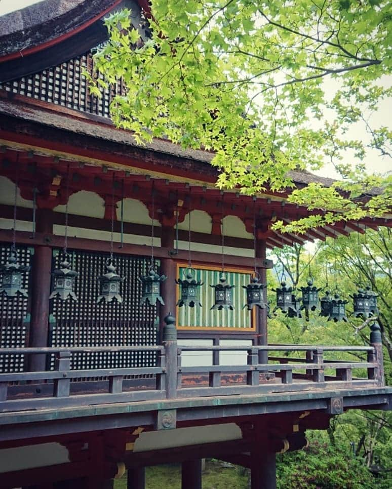 和田益典さんのインスタグラム写真 - (和田益典Instagram)「◆ 新緑の談山神社「拾」 . 2019年5月18日(土) スマホ撮影 . . ずーっと小出しで載せ続けてた 拝殿(重文) の外観！！ . . 嗚呼、実に素晴らしい。 . . 新緑と相まったこの拝殿を . 「 スーパー あを(緑)に(丹)よし 」 . と名付けよう。 . . 懸造の柱たちは真っ丹っ丹！ . . . #談山神社 #奈良 #大和路 #中臣鎌足 #多武峰 #奈良県 #桜井市 #神社 #桧皮 #拝殿 #スマホ写真 #朱色 #vermilion #shrine #柱 #舞台造 #灯篭 #文化財 #重文 #重要文化財 #culture #懸造 #新緑 #木造建築 #社殿 #あをによし #モミジ #photo #japan . #わだます寺社巡り . . . ここは元々お寺やから、個人的に好みの建物が並んどります。 . 次は本殿やな。 . .」6月11日 20時39分 - masunori_wada