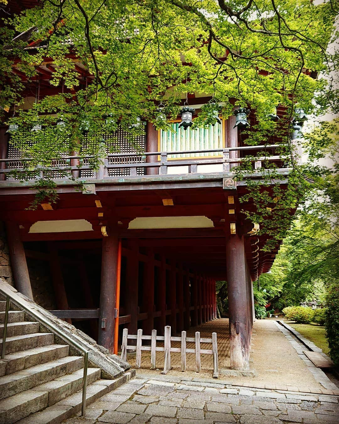 和田益典さんのインスタグラム写真 - (和田益典Instagram)「◆ 新緑の談山神社「拾」 . 2019年5月18日(土) スマホ撮影 . . ずーっと小出しで載せ続けてた 拝殿(重文) の外観！！ . . 嗚呼、実に素晴らしい。 . . 新緑と相まったこの拝殿を . 「 スーパー あを(緑)に(丹)よし 」 . と名付けよう。 . . 懸造の柱たちは真っ丹っ丹！ . . . #談山神社 #奈良 #大和路 #中臣鎌足 #多武峰 #奈良県 #桜井市 #神社 #桧皮 #拝殿 #スマホ写真 #朱色 #vermilion #shrine #柱 #舞台造 #灯篭 #文化財 #重文 #重要文化財 #culture #懸造 #新緑 #木造建築 #社殿 #あをによし #モミジ #photo #japan . #わだます寺社巡り . . . ここは元々お寺やから、個人的に好みの建物が並んどります。 . 次は本殿やな。 . .」6月11日 20時39分 - masunori_wada