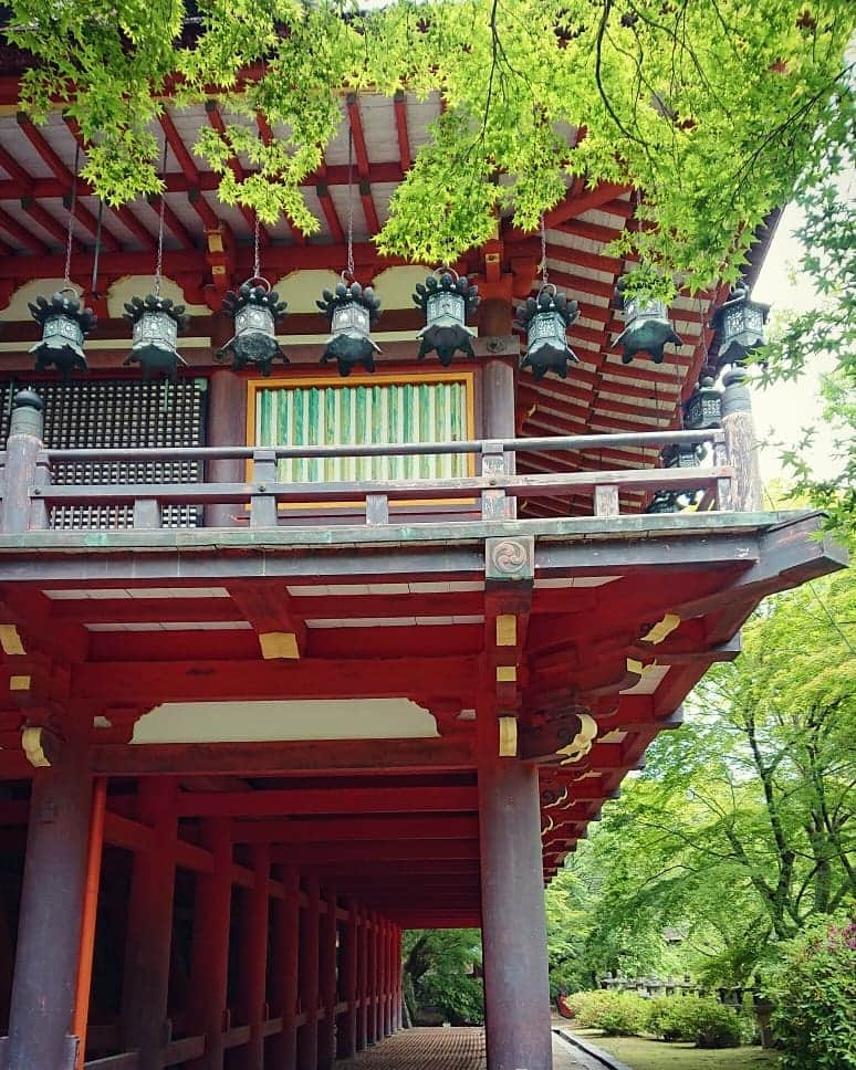 和田益典さんのインスタグラム写真 - (和田益典Instagram)「◆ 新緑の談山神社「拾」 . 2019年5月18日(土) スマホ撮影 . . ずーっと小出しで載せ続けてた 拝殿(重文) の外観！！ . . 嗚呼、実に素晴らしい。 . . 新緑と相まったこの拝殿を . 「 スーパー あを(緑)に(丹)よし 」 . と名付けよう。 . . 懸造の柱たちは真っ丹っ丹！ . . . #談山神社 #奈良 #大和路 #中臣鎌足 #多武峰 #奈良県 #桜井市 #神社 #桧皮 #拝殿 #スマホ写真 #朱色 #vermilion #shrine #柱 #舞台造 #灯篭 #文化財 #重文 #重要文化財 #culture #懸造 #新緑 #木造建築 #社殿 #あをによし #モミジ #photo #japan . #わだます寺社巡り . . . ここは元々お寺やから、個人的に好みの建物が並んどります。 . 次は本殿やな。 . .」6月11日 20時39分 - masunori_wada