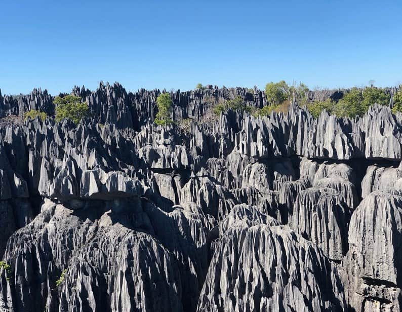 マリーナ・スコーシアーティさんのインスタグラム写真 - (マリーナ・スコーシアーティInstagram)「If you’re reading this, I made it. 😅 #tsingy #madagascar #tsingydebemaraha #heights #traveler #jetlaglife #dontlookdown #bridges #gabedontletmefall #anyone? #climbing #nationalpark #lemurs @laurasleaving #youdlovethis」6月12日 2時30分 - marinasqu