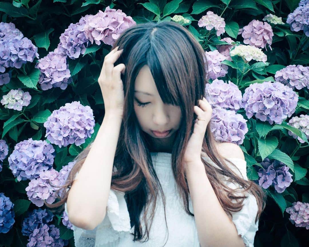 haraoのインスタグラム：「雨に濡れて * * * * * * camera：sony α7s * 最近の撮影テーマは、 ●縦も撮る ●カット数増 ●上から ●ストーリー性 です☺︎」