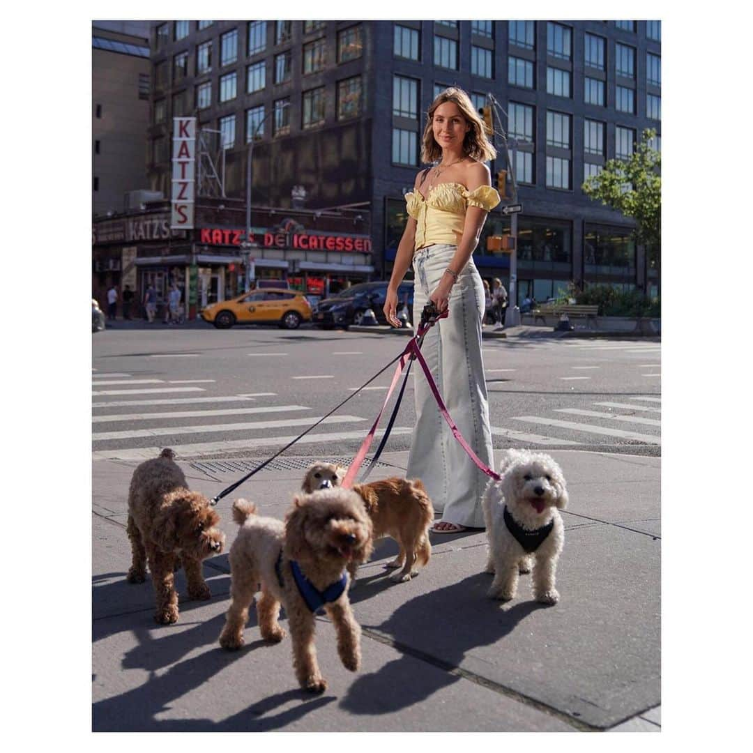 シューマッハさんのインスタグラム写真 - (シューマッハInstagram)「#cutenessoverload 😍 @jelena.marija on the streets of New York in #dorotheeschumacher #prefall19 #TheMuse #denimpants #newdenim #doglover #dogs_of_instagram #girl #nycgirl #love #streetstyle #nyc #newyork #doglovers #styleinspo #dogwalking #tuesdays #Fashion 🖤」6月11日 21時20分 - dorotheeschumacher