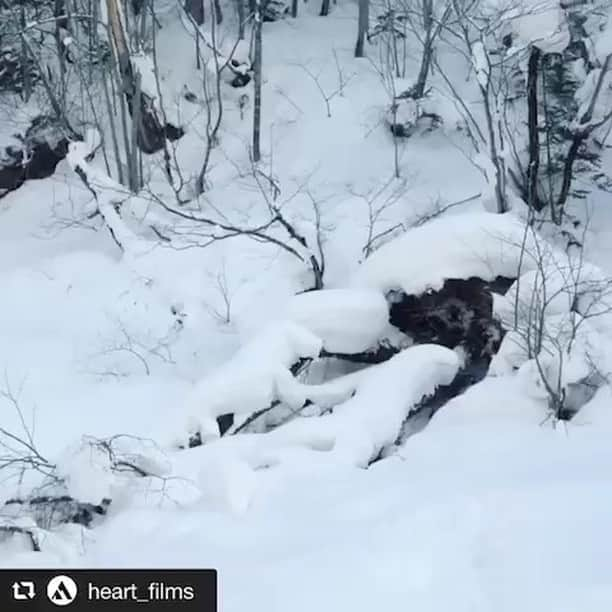 中井孝治のインスタグラム