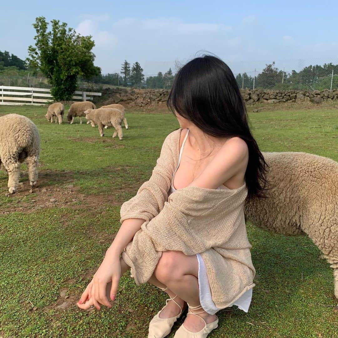 キム・ダビンさんのインスタグラム写真 - (キム・ダビンInstagram)「제주가면 바램목장 꼭 !! 가세요 🐑 당근주면 쫄쫄 쫓아오는거 너무 귀여워 ,,, #다비in제주 #다비의동물농장 #dabeen_travel」6月11日 21時29分 - daxbin