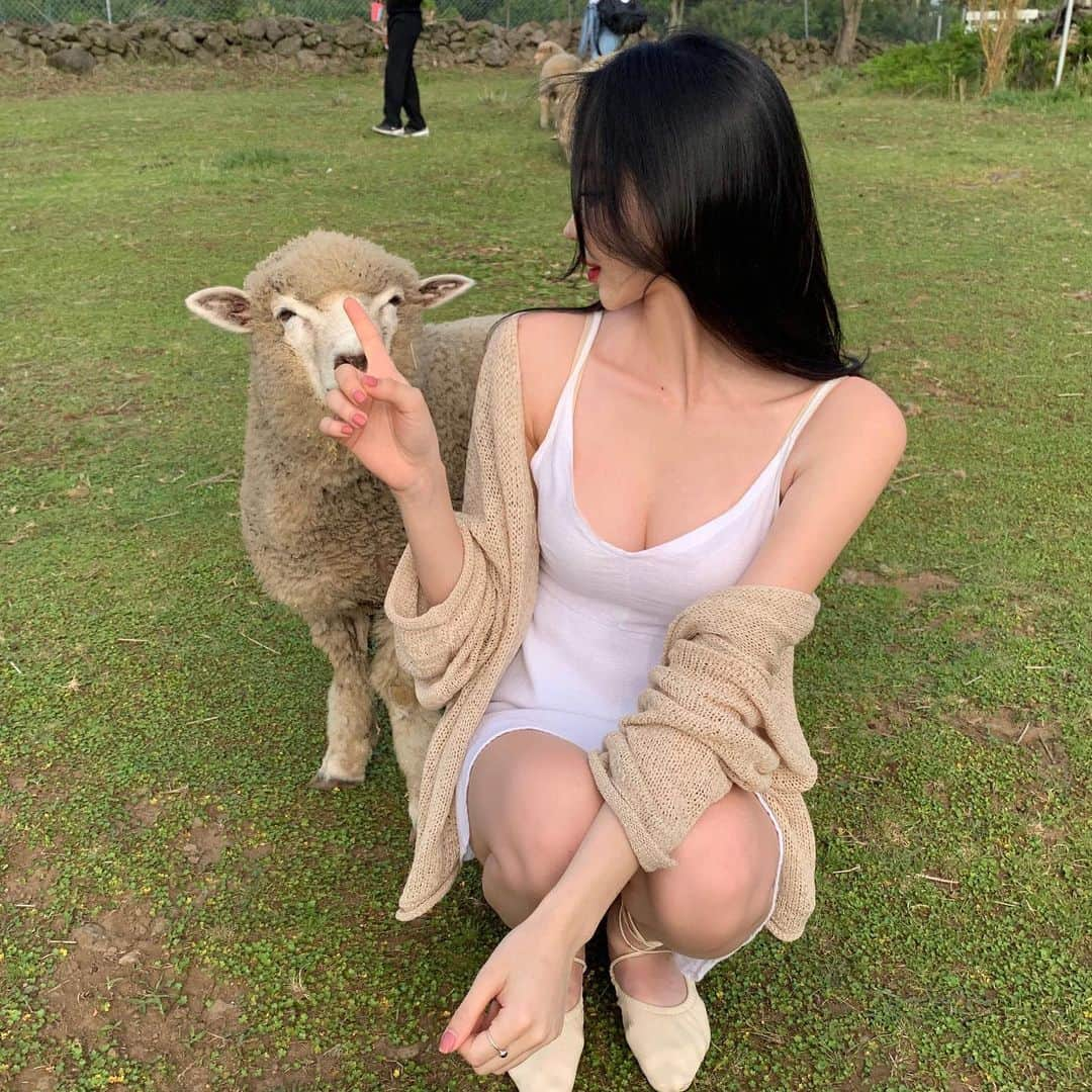 キム・ダビンさんのインスタグラム写真 - (キム・ダビンInstagram)「제주가면 바램목장 꼭 !! 가세요 🐑 당근주면 쫄쫄 쫓아오는거 너무 귀여워 ,,, #다비in제주 #다비의동물농장 #dabeen_travel」6月11日 21時29分 - daxbin