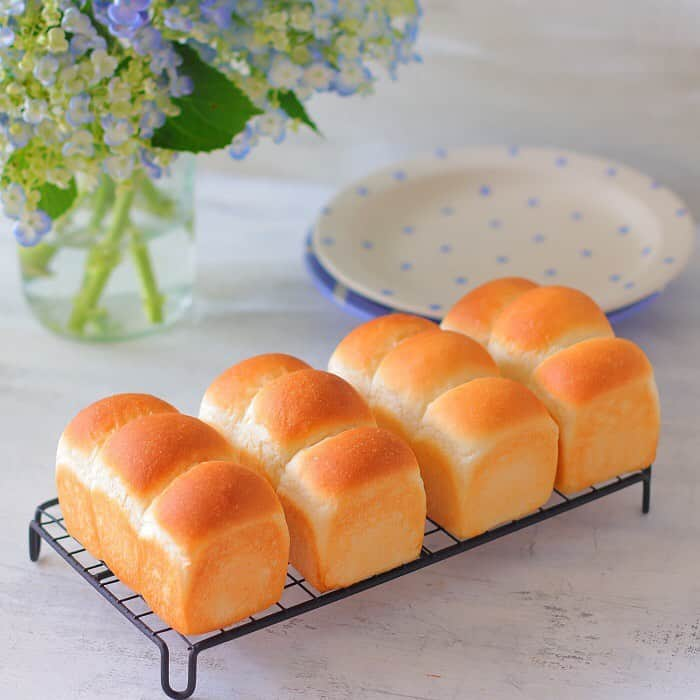 あいりおーさんのインスタグラム写真 - (あいりおーInstagram)「今朝の朝ごパン🍞. . ミニ食パン焼いたのでちぎって冷蔵庫の中のおかずを寄せ集めて꒰๑•‧̮ૣ•ૣ๑꒱*･.｡ . . ピンク色のドレッシングは紫玉ねぎのドレッシング(´∀`艸)♡. . 最近食パンが美味い😋. . . . #食パン#ミニ食パン #あいりおーパン#instagramjapan #kurashiru #kurashirufood #デリスタグラマー#キナリノ#おうちごはん#limia#delimia#デリミア#フーディーテーブル #製菓材料ならコッタ #コッタ #instagramjapan #igersjp #Instagram #delistagrammer #レシピもコッタ #お菓子作りならコッタ#クラフト石川」6月11日 21時39分 - airio830