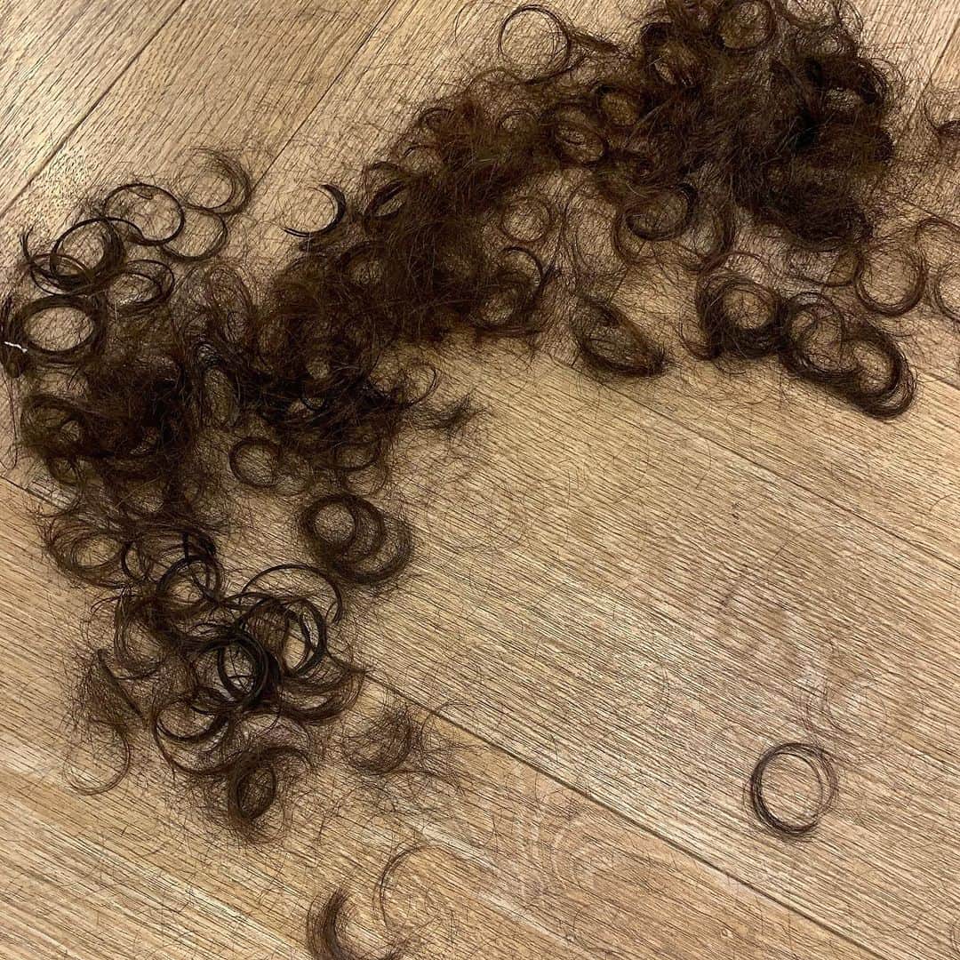 ノーマさんのインスタグラム写真 - (ノーマInstagram)「植物も髪の毛もくるくるうねうね。我が家は波打つものが多いです。 5ヶ月ぶりのヘアカットは美穂さんと植物と香りと未来の事を語り刺激的だった！ いつもジャストな風をありがとうござる🌀 @twiggymiho ♥️ #twiggytokyo  #hairsalon  #haircut  #curls」6月11日 21時49分 - noma77777