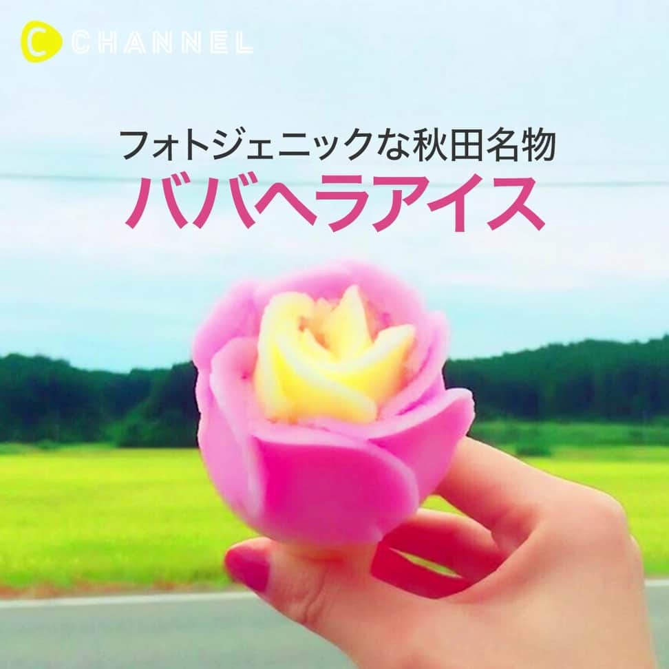のインスタグラム：「ピンクと黄色でカラフル可愛い💛💖秋田名物ババヘラアイス🍦🌹 . 💗Check👉 @cchannel_food 🎶 💗Follow me👉 @cchannel_girls 🎵 . 💄C CHANNELのアプリもよろしくお願いします😊💕 . バラの形に似せて盛る「バラ盛り」が可愛い♡  秋田名物なんです♪ . . #ご当地グルメ#インスタ映えスイーツ#ババヘラアイス#秋田グルメ#秋田県#東北旅行#秋田名物#国内旅行#ひんやりスイーツ#アイス部#食べすたぐらむ#アイス大好き#スイーツ巡り#おしゃピク#私のおいしい写真#夏といえば#食べるの大好き#スイーツテロ#グルメ巡り#いちごアイス#バナナアイス#アイスクリーム#パティシエカメラ部#ジェラート#旅行女子#旅行大好き#旅女子#旅したくなるフォト#花のあるくらし」
