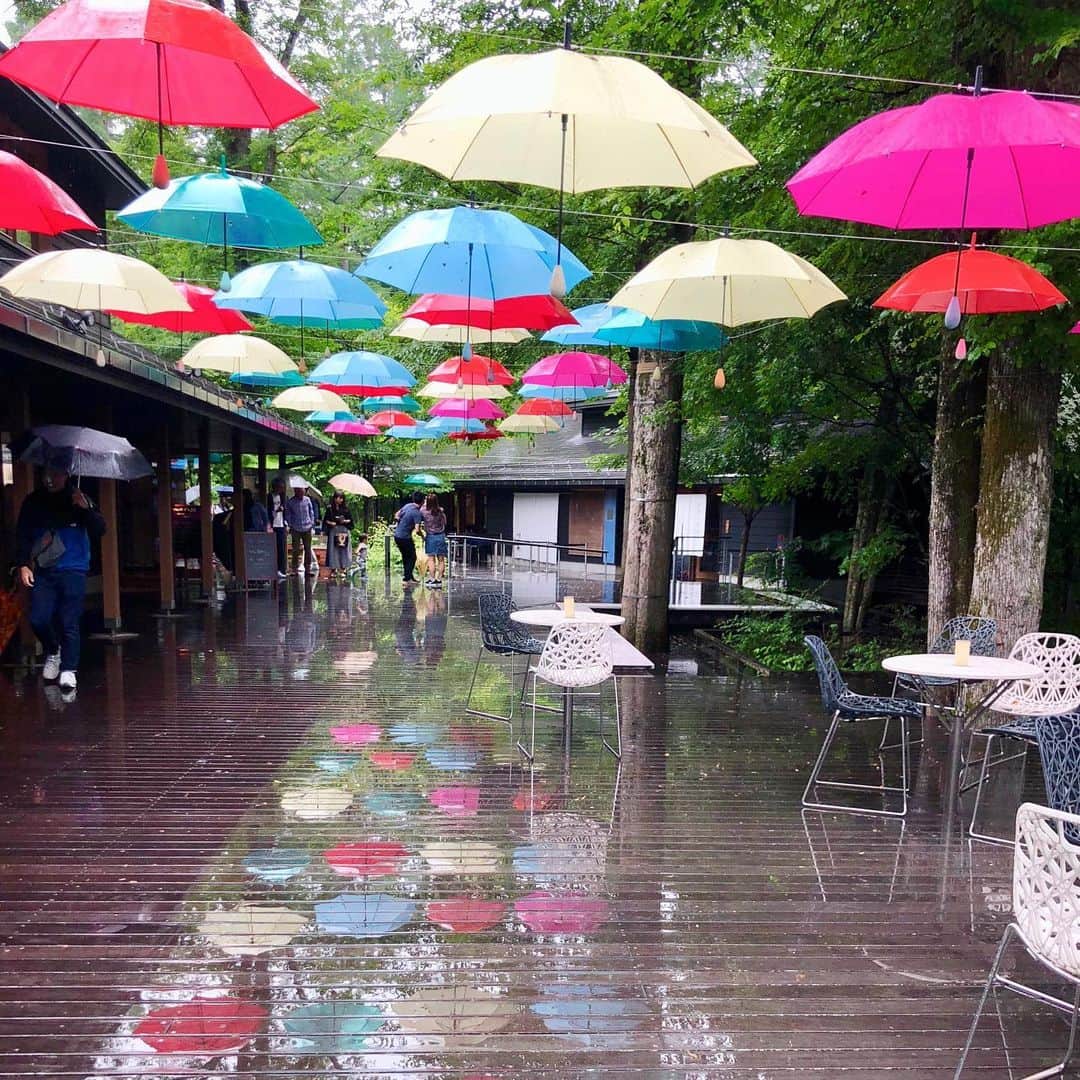 run+さんのインスタグラム写真 - (run+Instagram)「6月11日は #傘の日 なんだそう。 ということで、昨年の #ハルニレテラス 晴れだと陽射しを受けて色鮮やかに、雨が降ると水面に傘が映ってこれまたキレイ✨ 梅雨は雨が多くて気分も落ちがちだけど、雨が降ったほうが楽しいこともあるから♪ 雨の日は長傘片手にチムチミニー #メリーポピンズ #チムチムチェリー #梅雨といえば #肌が潤う #傘で肌色UP #雨の日ならではの景色 #紫陽花が瑞々しい #苔の緑がふっくら #蛙可愛い #雨の日割り #雨音で良く寝れる #気持ち整う そのあと #虹 #蛍が良く飛ぶ #梅雨 #紫陽花 #雨 #rainday ・ 夏は #シャワーラン が好き #季節の楽しみ #dayscolor #aday #🌈 #🌂 #☔ #アンブレラスカイ #写真で伝えたい私の世界 #アート散歩 ・」6月11日 21時51分 - runplus