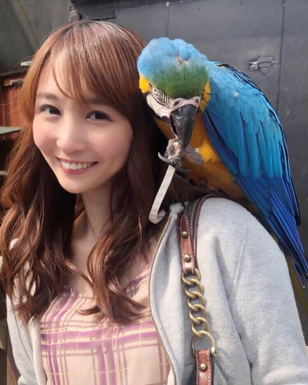 長久梨那さんのインスタグラム写真 - (長久梨那Instagram)「． 鳥使い🐤 ． 教訓 オウムのくちばしは鋭い ． 学んだこと 鳥は概ね気が強い #鳥 #オウム #インコ #鳥使い #オーストラリア #ケアンズ #キュランダ #バードワールド #旅行 #旅 #海外旅行 #japan #girl #japanesegirl #birder #bird #parrot #inco #australia #cairns #kuranda #birdworld #trip #travel #instagood #instadaily #instagirl #instatravel #フォローミー #followme」6月11日 22時37分 - rinanagahisa