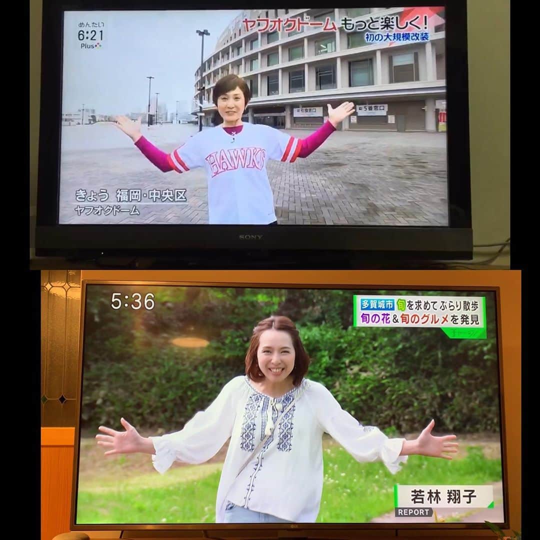 若林翔子のインスタグラム：「* * 上:姉、麻衣子。 下:妹、翔子。  意図せず、手の動きが同じ笑🤣🤣🤣 リアクションの表情も同じ笑🤣🤣🤣 私の身振り手振りが大きいのは、もう遺伝子に組み込まれていたものらしい😂  #FBS #アナウンサー #若林麻衣子 #KHB #レポーター #若林翔子 #電話の声もほぼいっしょ」