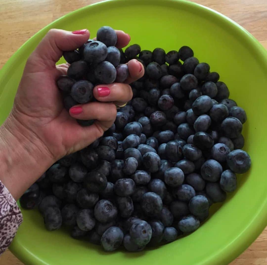 ジェニファー・ガーナーさんのインスタグラム写真 - (ジェニファー・ガーナーInstagram)「Family farm update! 👩🏻‍🌾🌾 🚜 20 inches of rain—tough on the beets, but the blueberries are thriving! 😁 #comingsoontoababynearyou @onceuponafarm #soyouthinkyoucanfarm」6月11日 23時17分 - jennifer.garner