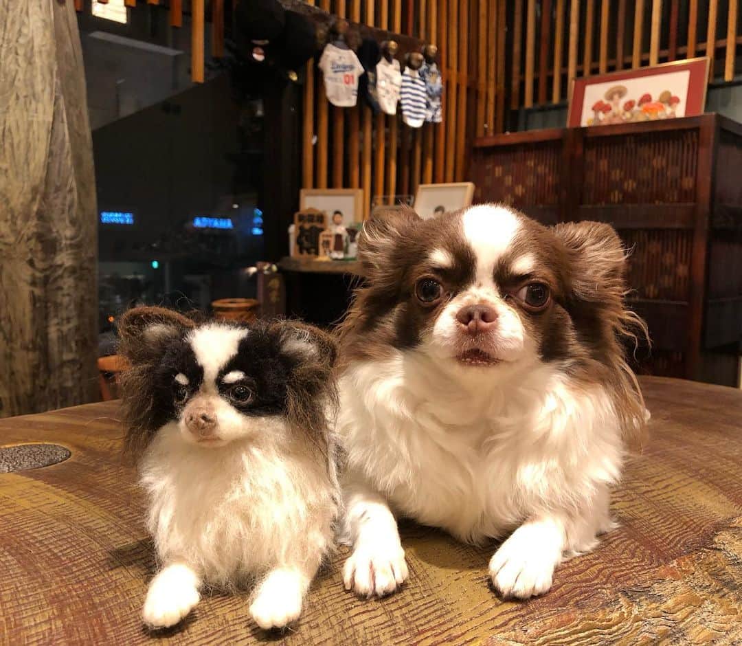 太田雄貴のグルメインスタ