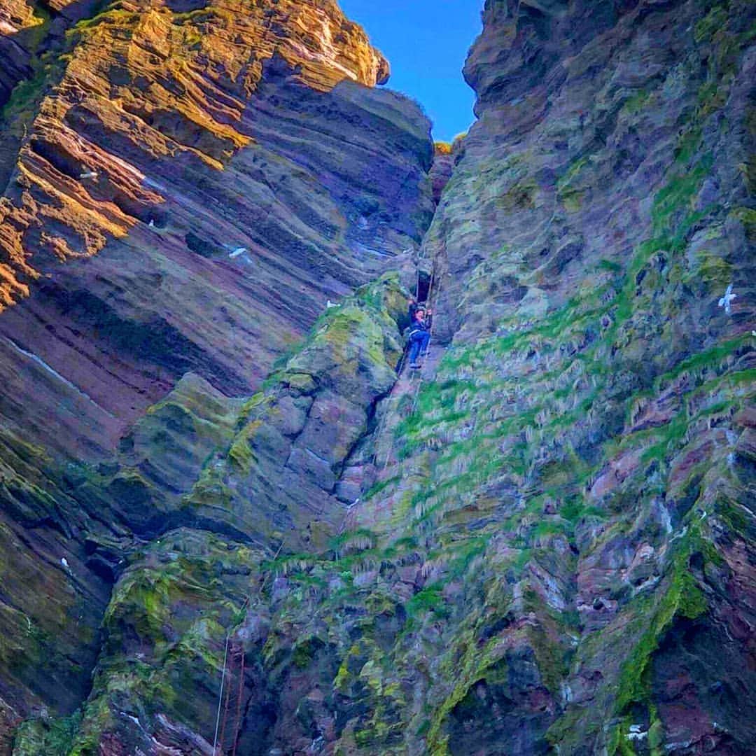 マヌー・ベネットさんのインスタグラム写真 - (マヌー・ベネットInstagram)「Nearing the completion of my free solo  ascent of The Stairway To Heaven a 100m sheer cliff climb to top of one of the volcanic rock islands in Vestmannyjaer, Iceland」6月12日 0時39分 - manubennett