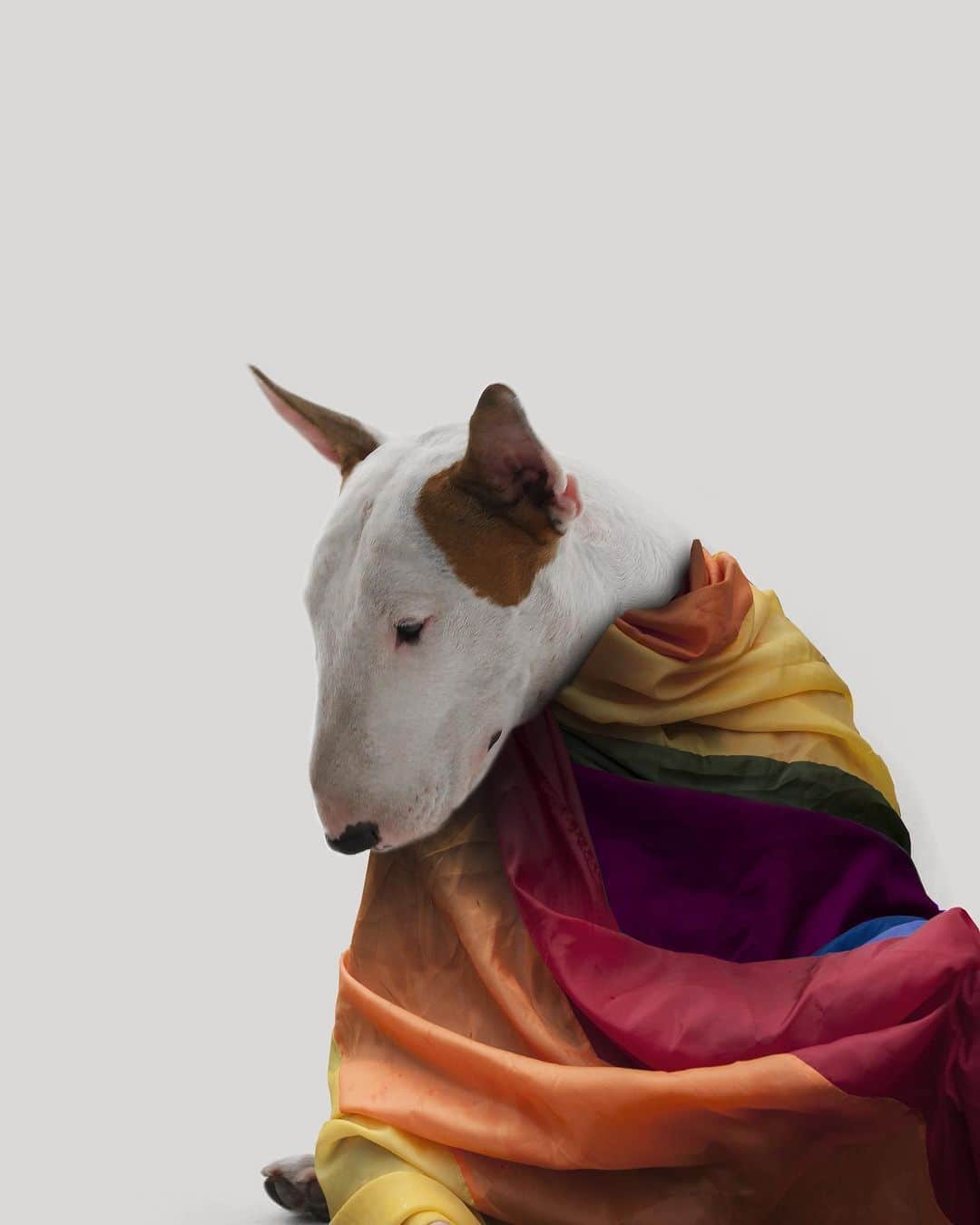 ラファエルのインスタグラム：「no child is born homophobic. teach acceptance, not ignorance . . ninguem nasce homofobico. ensinem respeito e aceitaçao ao inves de ignorancia e alienacao.」