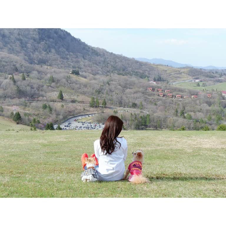 堀尾実咲のインスタグラム：「いつものお山🐻🐰」