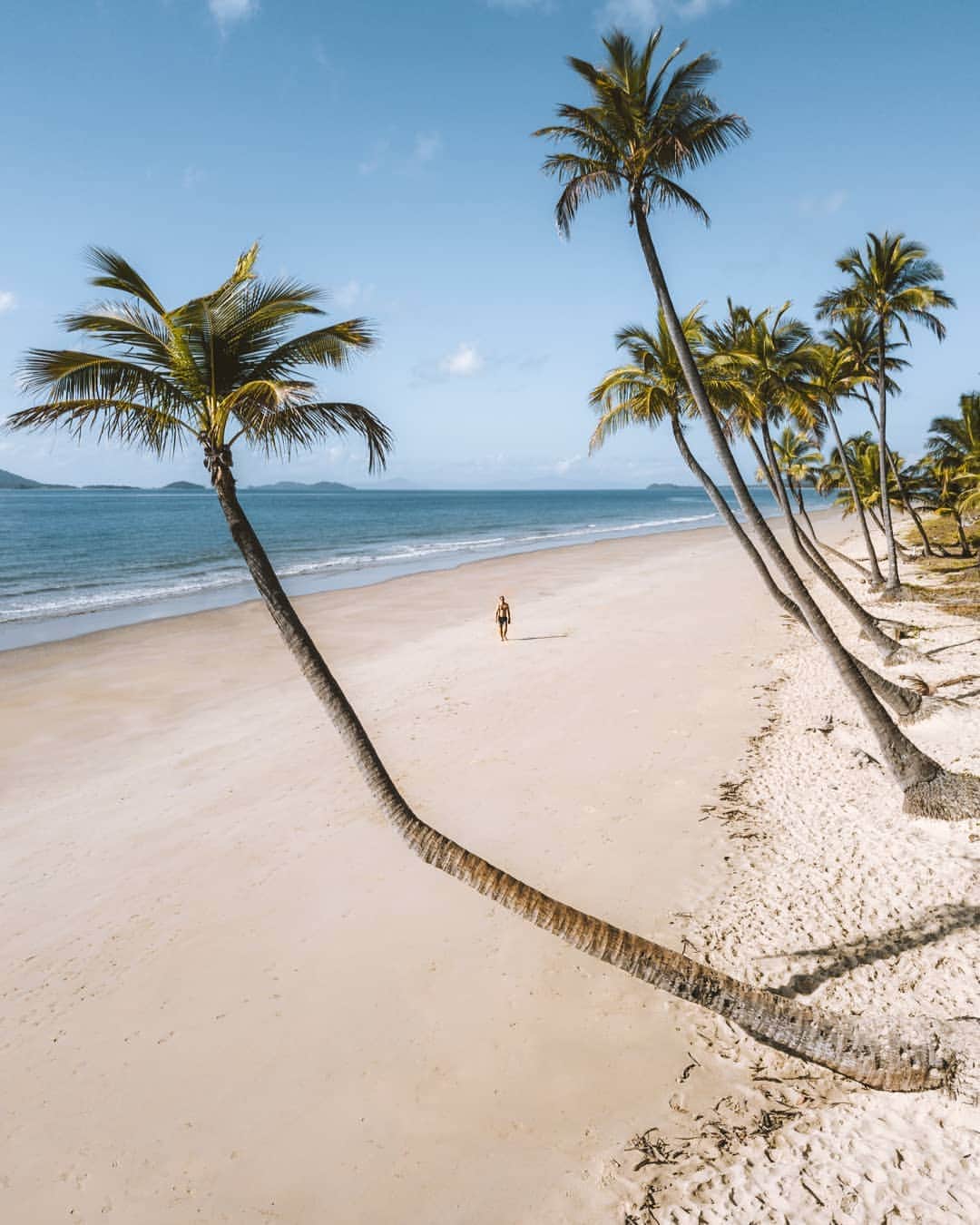 SNAPCHAT@JASONVANMIERTのインスタグラム：「An endless line of palm trees on Mission Beach. 🌴🌴🌴🌴 - - - - - I think one of the reasons I haven't been as active on Instagram is because I was bored with writing captions that talked about travel, travel tips etc… so from now, I'm going to add a segment which I'll call #jvm_lifehack which will be completely unrelated to my photos and you'll find further down in my captions... some of these ideas are kind of hard to explain in just a caption… I hope it doesn't go other the top of peoples heads… - - - - - #jvm_lifehack - (Limiting-beliefs) - Most people have a belief about what their potential is no matter what you tell them, and that effects how much action they take, which then effects the results they get, and then their poor results reinforces their limiting-belief. - Example: Let's say a person has unlimited potential, but they take little action and then they get little results because to start with they have a problem with their belief, they don't think they are capable or worthy. The problem with when you dont believe you're capable or worthy is that you wont take much action which means you get poor results which reinforce the limiting-belief, and you repeat the cycle over and over again, never reaching your potential. This throwbacks to my post the other day, the sum total of your conscious mind and unconscious mind is where you are today. - If however you can visualise in your unconscious mind with 100% certainty of achieving a goal, then that belief will help you take massive action which will then get you the great results. - Henry Ford pretty much summed this up in this classic quote "Whether you think you can or whether you think you can't, you're right." - (Also if you enjoyed this post hit that paper plane arrow button and add it to your stories and tag me and I'll re-share the tag on my stories)」