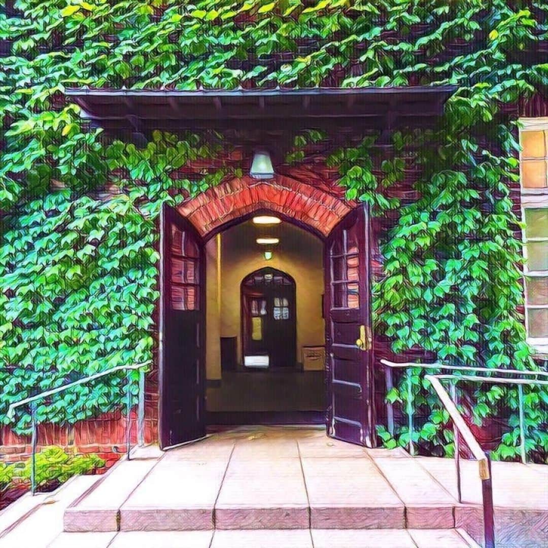 立教大学のグルメインスタ