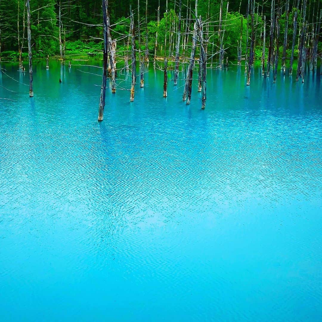 フォセットスタイルさんのインスタグラム写真 - (フォセットスタイルInstagram)「「白ひげの滝」と「青い池」です！ ブルーが神秘的。  #fossettestyle #社員旅行 #北海道 #白ひげの滝 #青い池」6月12日 10時46分 - fossette_style