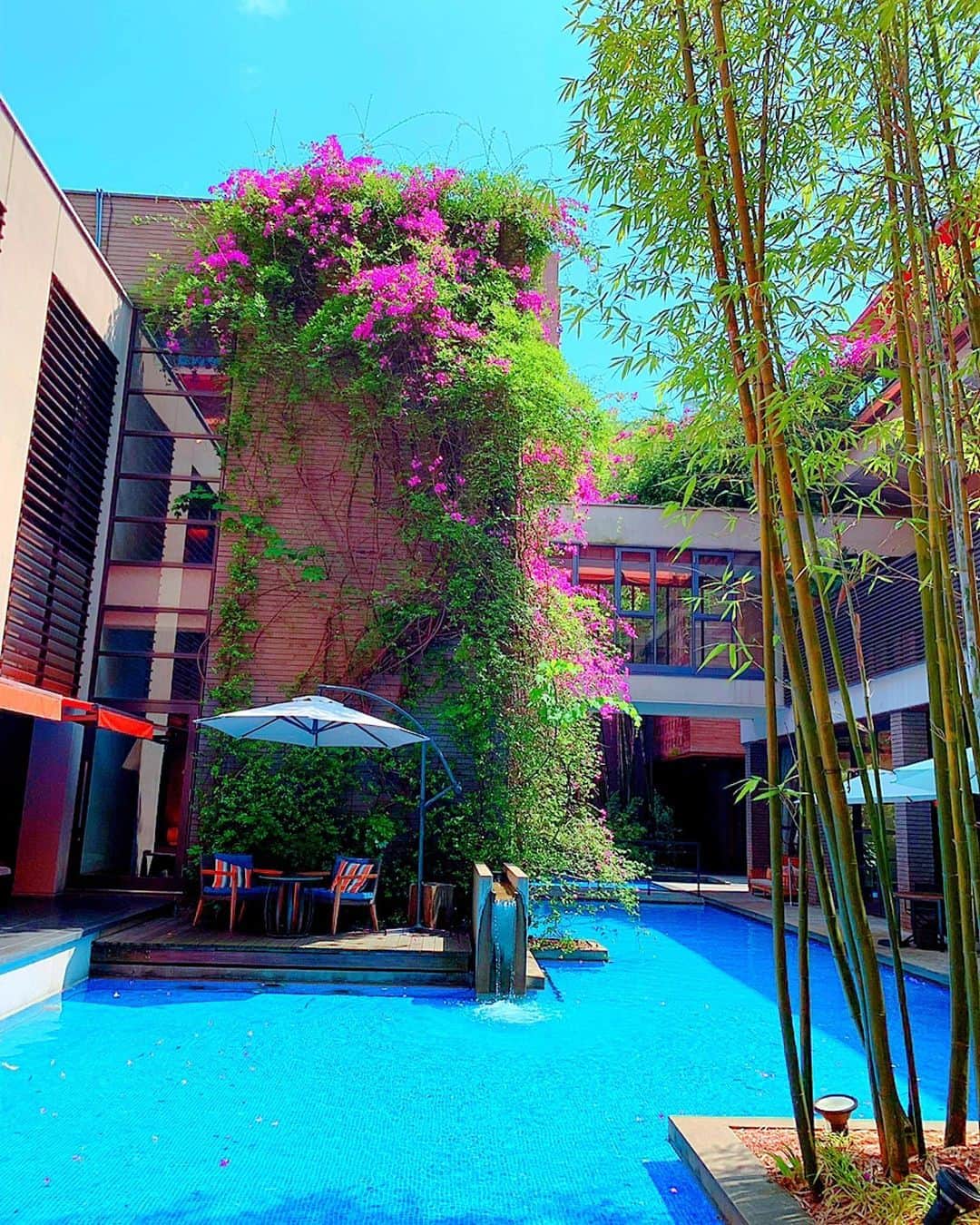 百合華さんのインスタグラム写真 - (百合華Instagram)「ランチの後は博多のお洒落なホテル『WITH THE STYLE FUKUOKA』の、緑や水に囲まれた開放感のあるダイニングカフェでまったりティータイム🥰﻿ ﻿ そよ風を感じられる眺めの良いソファー席が心地良すぎて気がつけばお昼寝しておりました💤﻿ ﻿ この季節は壁面につたう色鮮やかなビビッドピンクのブーゲンビリアが満開で、中庭に流れるプールの水色と緑とのコントラストがとっても美しかったです💕﻿ ﻿ #福岡県﻿ #博多﻿ #ホテル﻿ #withthestylefukuoka﻿ #ダイニングカフェ﻿ #開放感﻿ #中庭﻿ #そよ風﻿ #ソファー席﻿ #お昼寝﻿ #ビビッドピンク﻿ #ブーゲンビリア﻿ #満開﻿ #コントラスト﻿ #美しい﻿ ﻿ ﻿ ﻿」6月12日 11時19分 - yurika.lovelily