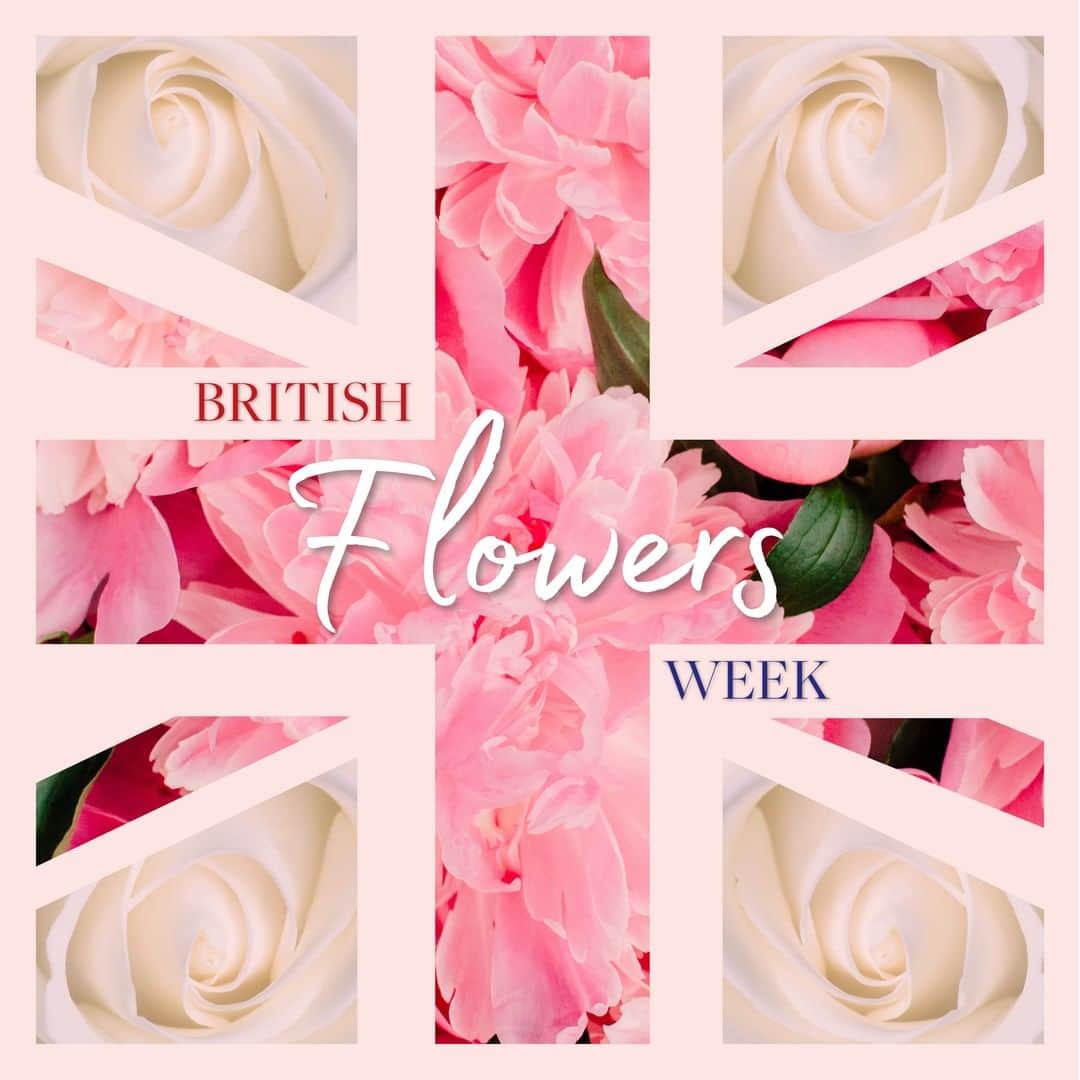 Grace Coleさんのインスタグラム写真 - (Grace ColeInstagram)「Celebrating British flowers and floristry! British Flowers Week from 10th -16th June.  What better way to celebrate British Flowers than with your favourite Grace Cole floral fragrance.  Hedre in the GC office, we love Peony & Pink Orchid  #british #buybritish #britishflowers #britishflowersweek #flowers #floral #fragrance #floralfragrance #floralfragrances #peony #pinkorchid #peonyandpinkorchid #fave #favourite」6月12日 3時10分 - gracecoleltd
