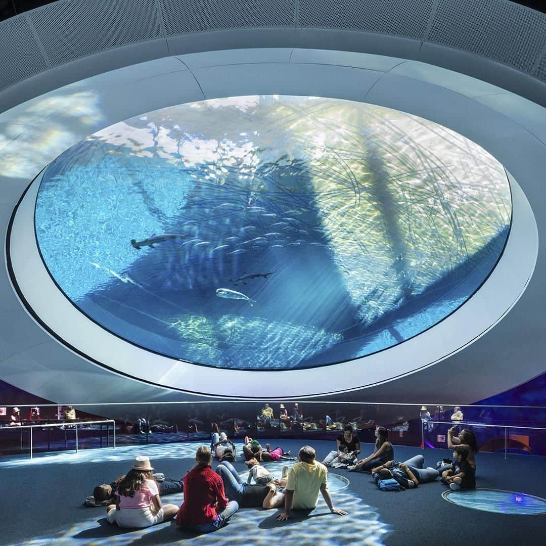 Conrad Hotelsのインスタグラム：「Get up close with creatures of the deep at Frost Science. Let @conradmiami curate the ultimate sensory experience. #StayInspired 📸: @frostscience」