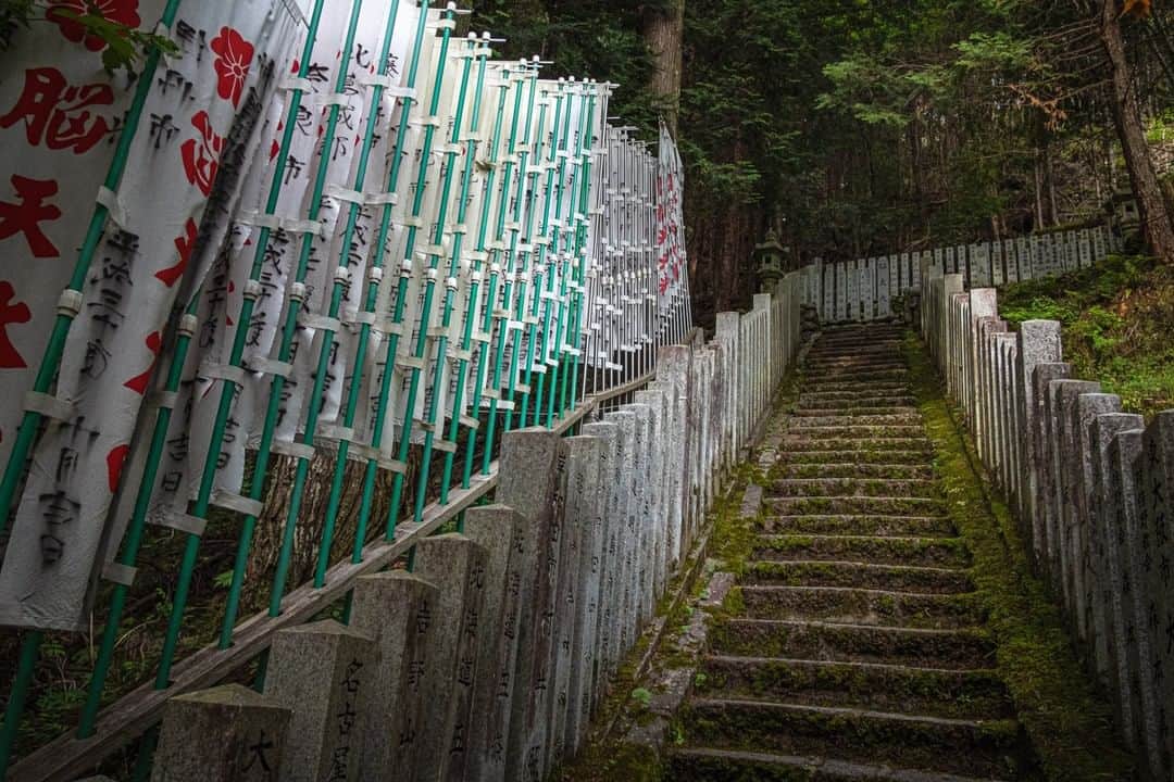 National Geographic Travelさんのインスタグラム写真 - (National Geographic TravelInstagram)「Photo by @michaelclarkphoto | A steep staircase from the Kimpusen-ji temple leads down to the Noten-okami temple in Yoshino National Park near Nara, Japan. We found this amazing staircase by accident while wandering around in Yoshino National Park. It was an incredible walk in a deep dark forest. #nara #yoshino #japan」6月12日 4時12分 - natgeotravel