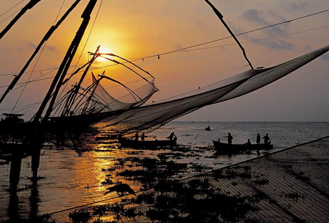 Michael Yamashitaさんのインスタグラム写真 - (Michael YamashitaInstagram)「Chinese fishing nets of Kochi: These huge dip nets (10 meters high and sprawling 20 meters over the water), are fixed to the shore, and are a unique way to fish. The nets are weighted by large stones tied to ropes and are operated by a team of up to six fishermen who raise the net by pulling on ropes. Legend has it that the famous Chinese explorer, Zheng He, introduced the nets to Kochi fishermen 500 years ago.  #Cochin #Kerala #India #fishingnet」6月12日 4時50分 - yamashitaphoto