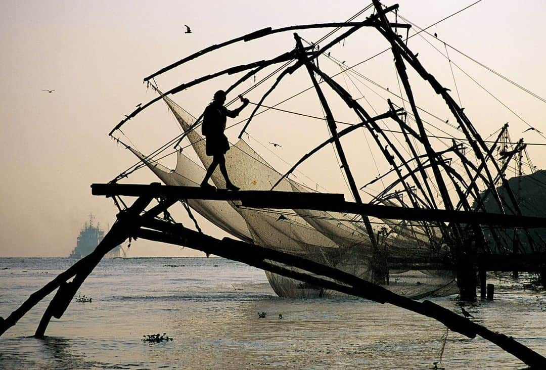 Michael Yamashitaさんのインスタグラム写真 - (Michael YamashitaInstagram)「Chinese fishing nets of Kochi: These huge dip nets (10 meters high and sprawling 20 meters over the water), are fixed to the shore, and are a unique way to fish. The nets are weighted by large stones tied to ropes and are operated by a team of up to six fishermen who raise the net by pulling on ropes. Legend has it that the famous Chinese explorer, Zheng He, introduced the nets to Kochi fishermen 500 years ago.  #Cochin #Kerala #India #fishingnet」6月12日 4時50分 - yamashitaphoto