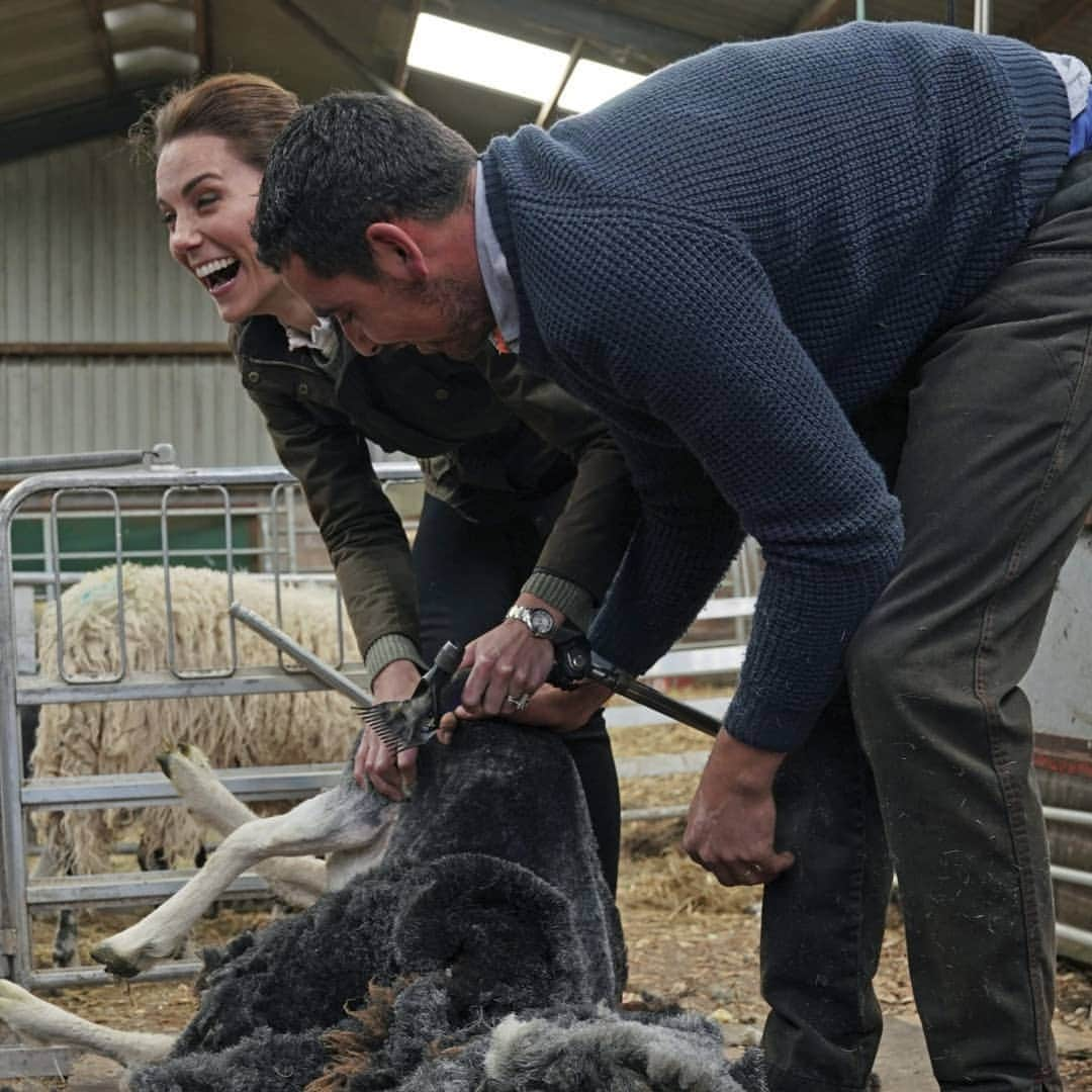 ABC Newsさんのインスタグラム写真 - (ABC NewsInstagram)「Prince William and Kate, the Duchess of Cambridge, shear a sheep, repair a stone wall and more during a visit to Deepdale Hall Farm in Cumbria, England. #royals #royalfamily #england #fatm #sheep」6月12日 5時13分 - abcnews