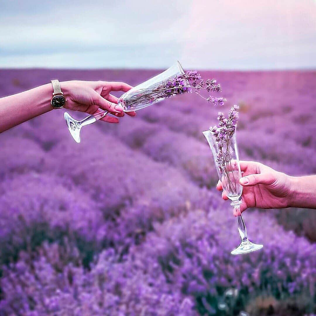 Henry London Official page of Britishさんのインスタグラム写真 - (Henry London Official page of BritishInstagram)「Summertime goals @my_mariann We have 20% off our wedding edit using code WEDDING20... something for all your summer celebrations! . . #lavender #flowerfields #champagne #confetti  #henrylondon #henrywatches #womenswatches #womensfashion #london #britishdesign #britishbrand #vintage #heritage #flowerfield #wedding」6月12日 5時51分 - henrywatches