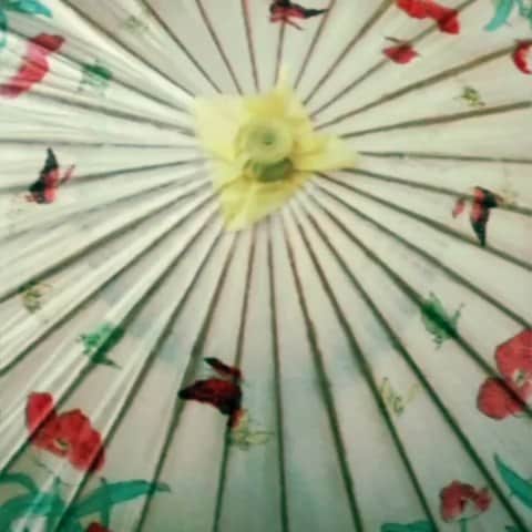 シャニン・ソサモンのインスタグラム：「while the kids are at school」