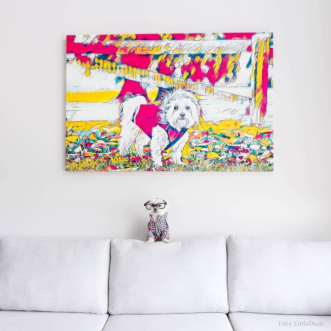 Toby LittleDudeのインスタグラム：「Love is an art that comes from the heart.  Absolutely in love with my canvas print from @abcfineart. Uploaded a photo to their website and they did the rest! (link in bio)」