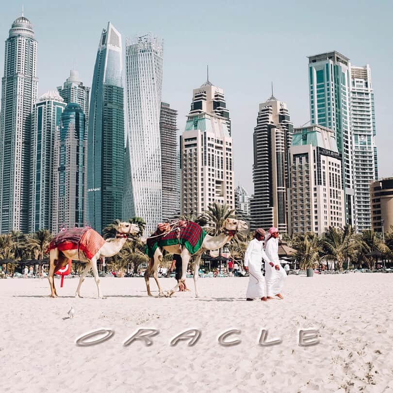 Oracle Corp. （オラクル）さんのインスタグラム写真 - (Oracle Corp. （オラクル）Instagram)「🐫Happy humpday from Oracle Dubai and all of our 184 global campuses! In the Al Qudra desert, an Arabian Camel is heavily depended on to carry the load and lead the way. At Oracle, we lift your organization through the intimidating landscape of #data, driving your #business in the right direction. With Oracle #cloud, enterprises can innovate faster, elevate #customer engagement, and accelerate #digital transformation so you can sit back and enjoy the oasis of #success. #globaloracleweek #dubai #mydubai」6月12日 7時46分 - oracle