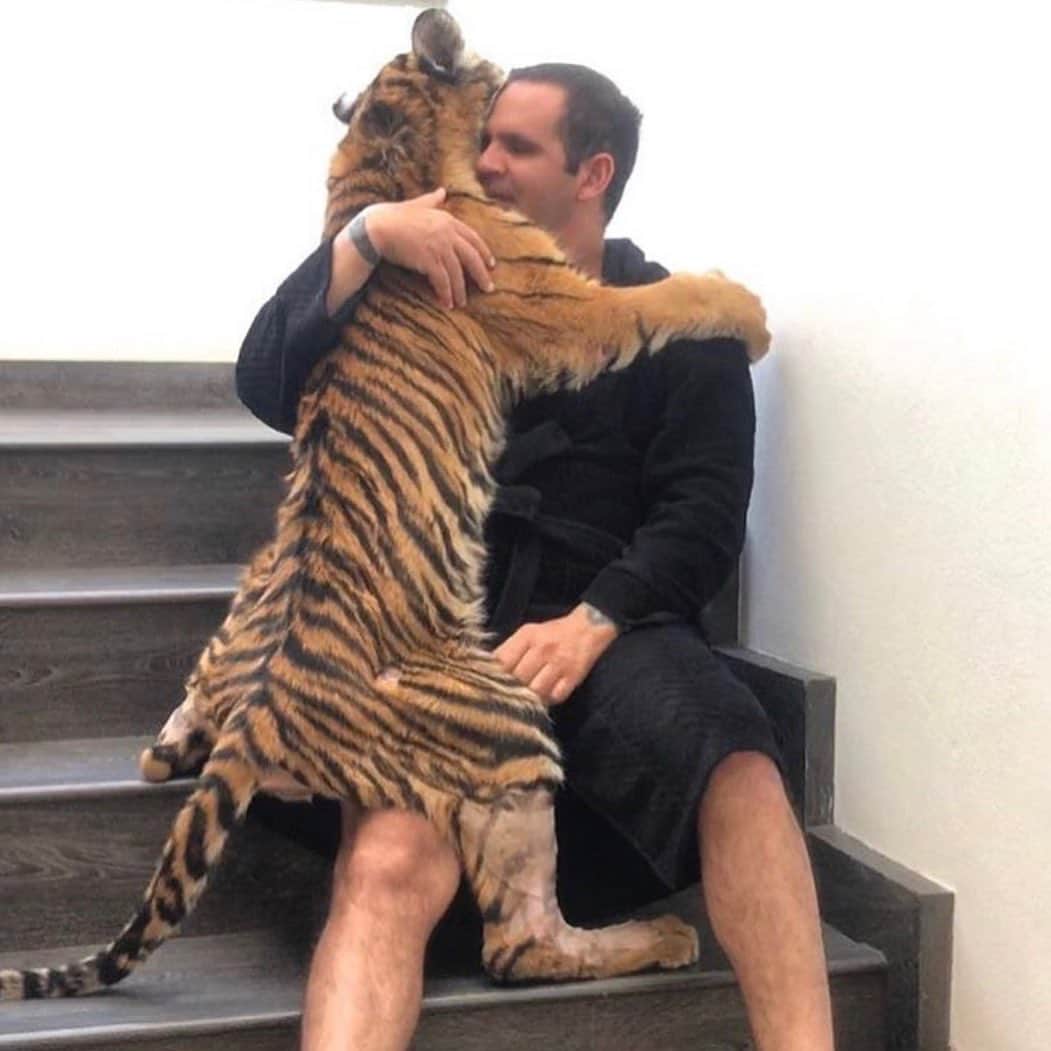 Black Jaguar-White Tiger さんのインスタグラム写真 - (Black Jaguar-White Tiger Instagram)「If I’m not wrong, this was Nala giving her dad a hug... #BabyNalaBJWT #SaveTigers」6月12日 8時58分 - blackjaguarwhitetiger