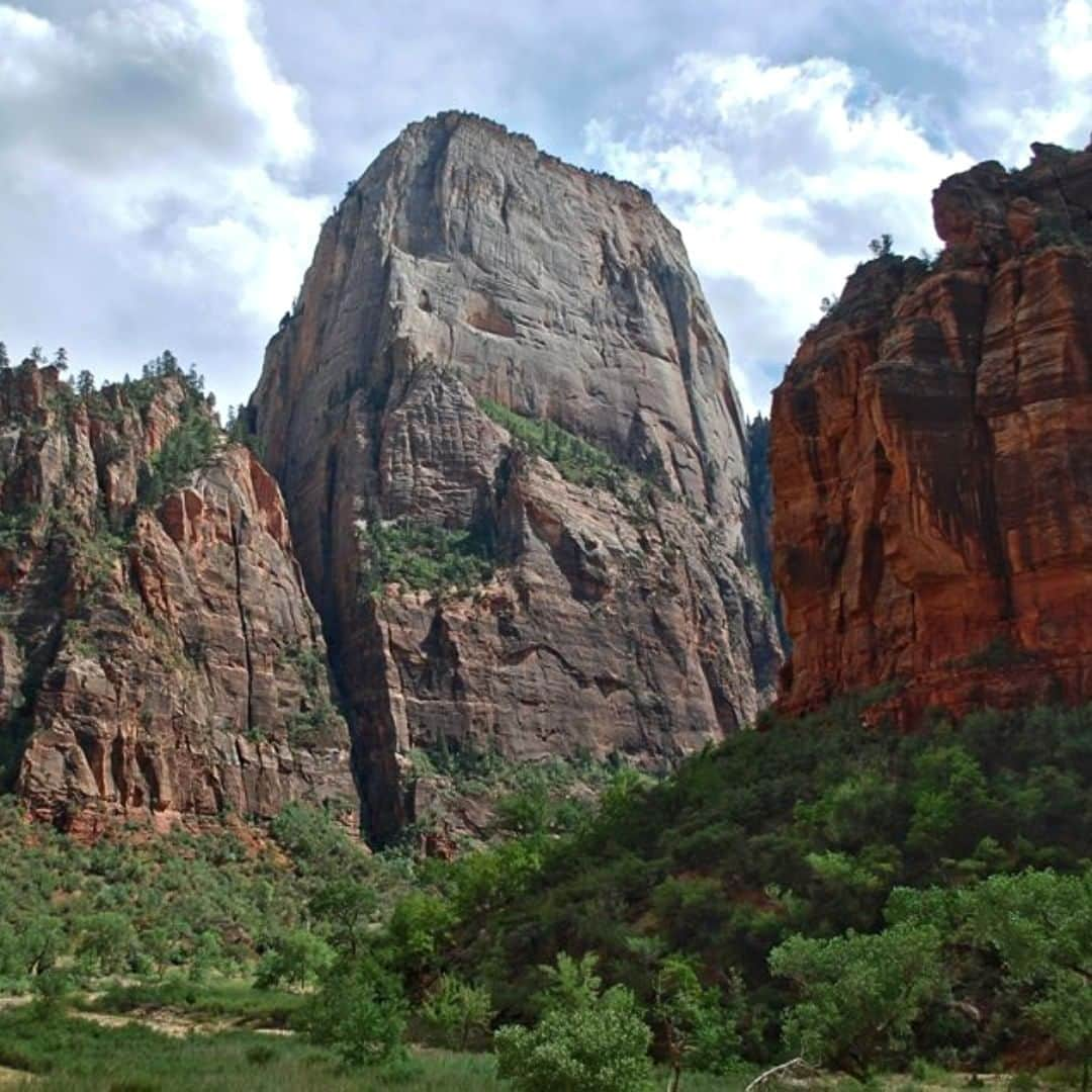 アメリカ内務省さんのインスタグラム写真 - (アメリカ内務省Instagram)「Standing out against the red rocks of #Zion National Park in Utah, the Great White Throne is a massive monolith of white Navajo sandstone. This mighty rock rises 2,400 feet above the canyon floor and is popular with climbers. Its towering majesty can be seen from many views along the park’s scenic drive and is particularly stunning in bright sunlight. Photo @ZionNPS by #NationalPark Service. #Utah #travel #FindYourPark #usinterior」6月12日 9時10分 - usinterior