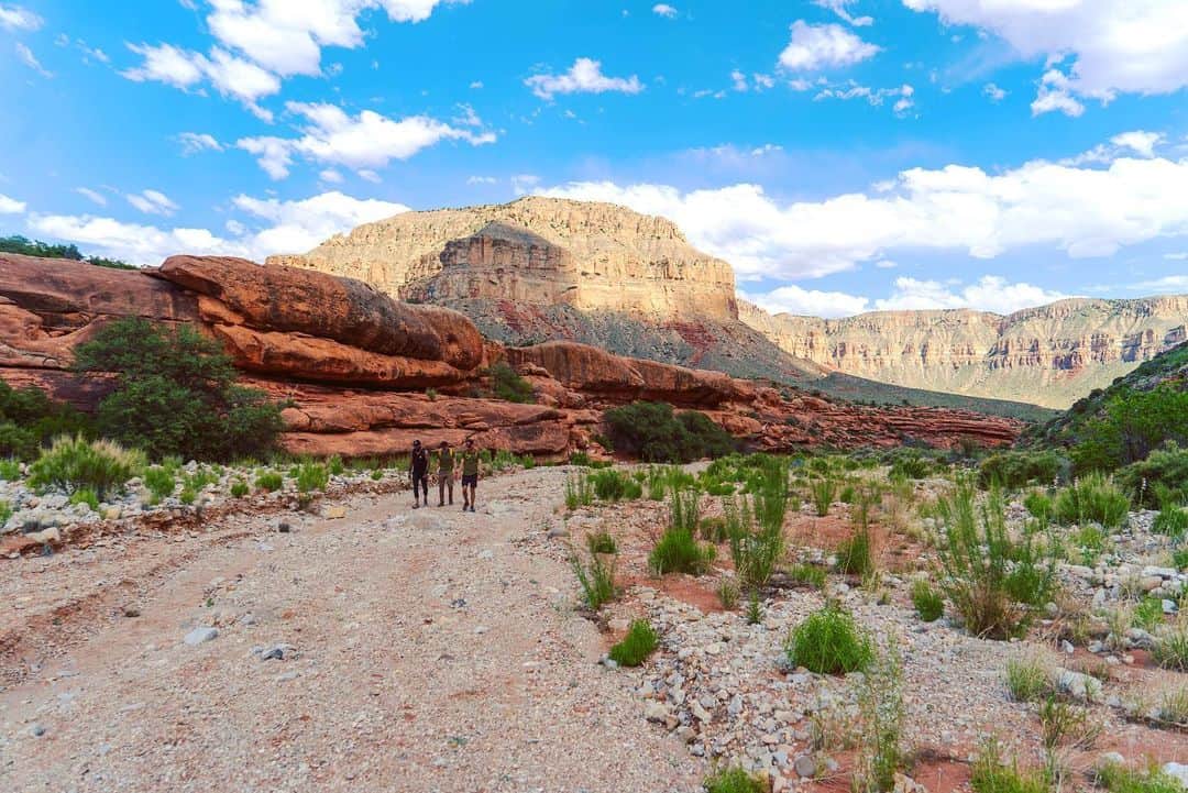 ネイサン・アンダーソンのインスタグラム：「Drove 200 dusty miles to hike 10, and it was good. #naturegang #thirstyboys #dudesondudes #kindalost」