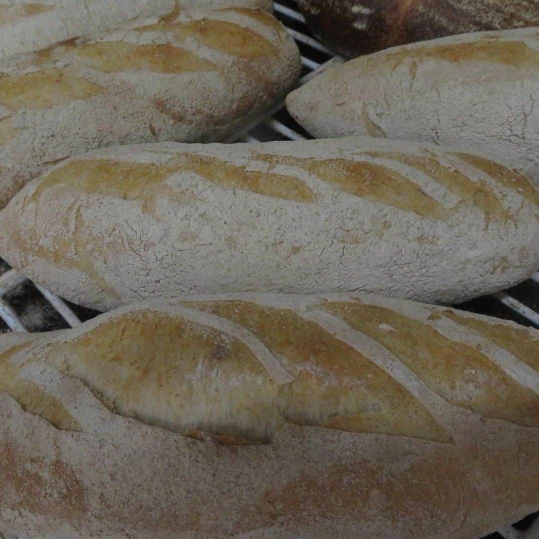 魔女菅原のグルメインスタ